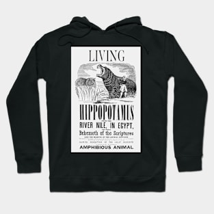 Barnum's American Museum Hippopotamus print Hoodie